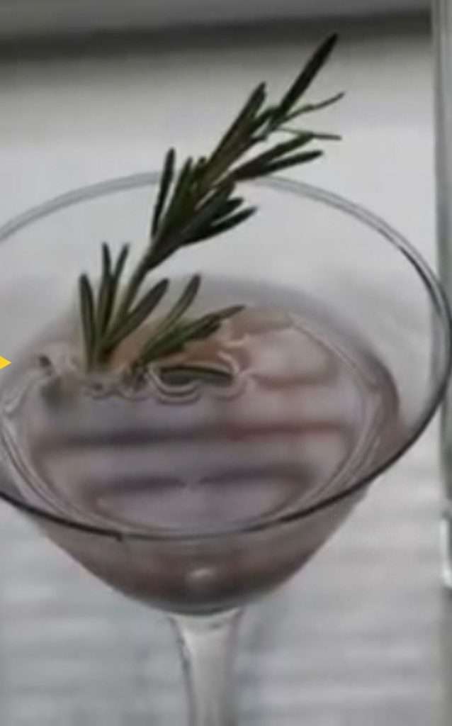 Grapes and Rosemary Gin