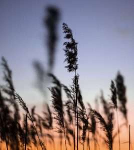 King E Photography