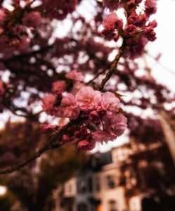 King E Photography