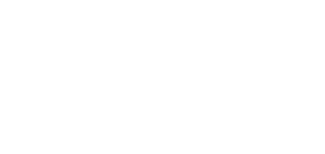 New Castle County Chamber of Commerce Logo