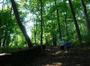 Brandywine Creek State Park with Two Walkers