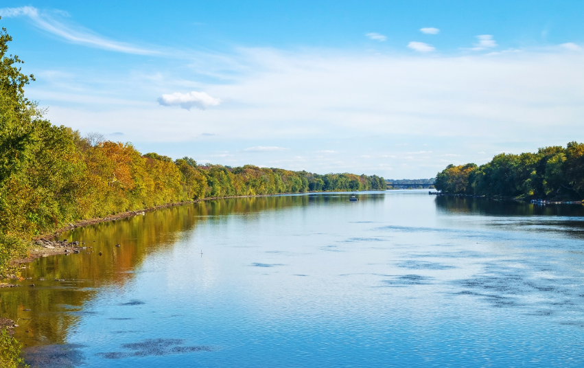 Seven Years of Conservation Projects